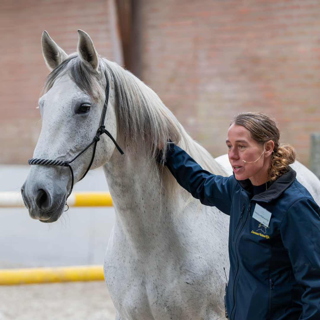 Astrid met headset naast het grijze paard